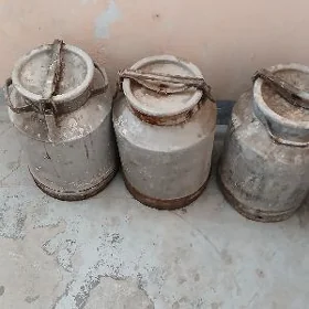 Filyag