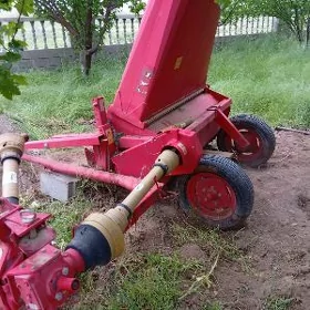 kir ot orýan enjam, kasilka