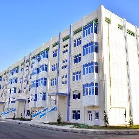 Satlyk Elitka 22 domun bashy