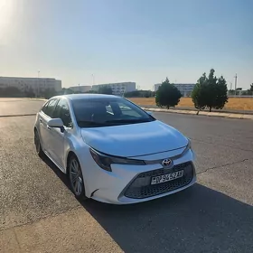 Toyota Corolla 2020