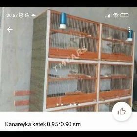 Ketek