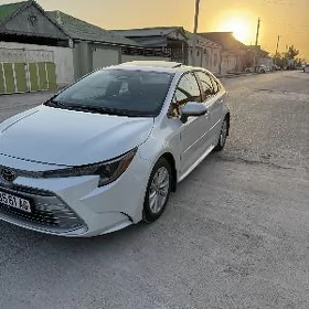 Toyota Corolla 2024