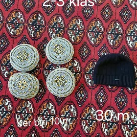Çaga egin-eşikleri