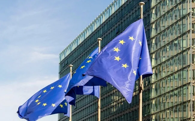 В ЕС вступил в силу Пакт о миграции и убежище - img 2