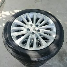 13 Avalon disge pakrysga 17