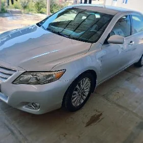 Toyota Camry 2010