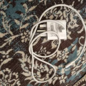 samsung zaryatchik