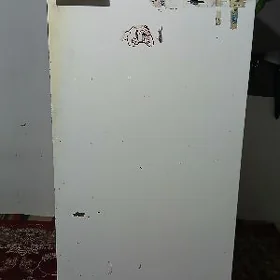 halaidilnik