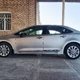 Toyota Corolla 2023