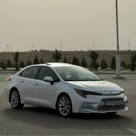 Toyota Corolla 2019
