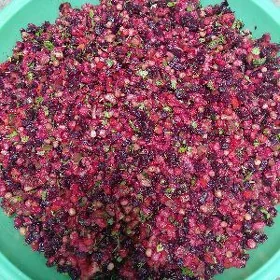 toy salat somsalar petir corek
