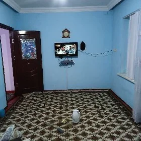 Satlyk Jay 38 obasy