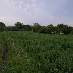 Yorunja