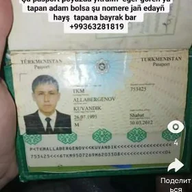 Dakument yitdi