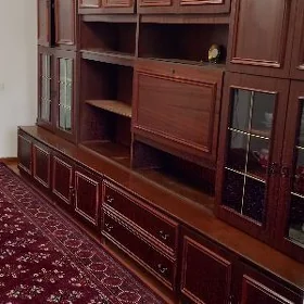 stenka şfaner