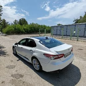 Toyota Camry 2019