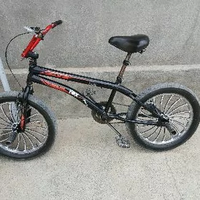 tigir