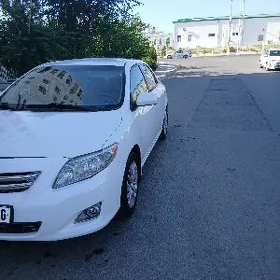 Toyota Corolla 2010