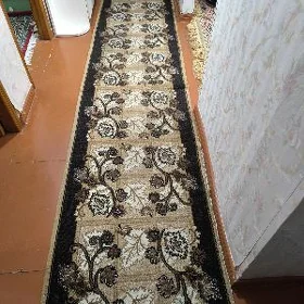 daroshka haly