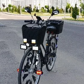 Tigir yapoşga 27