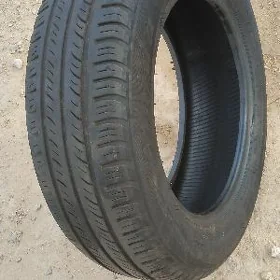 Tiğir 15 lik