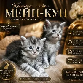 Мейн куны