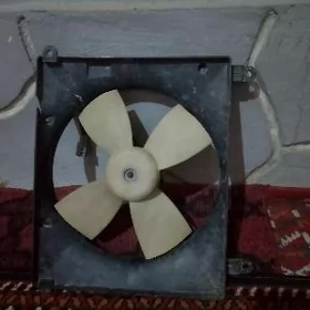 wintelyator 12v