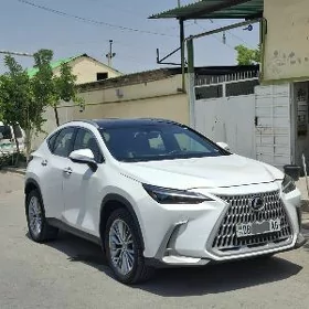 Lexus NX 350 2024
