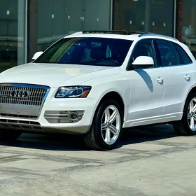 Audi Q5 2010
