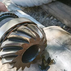 Turba şestina