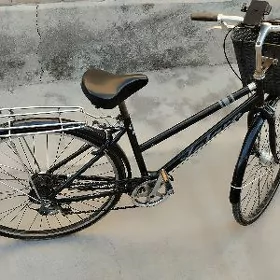 27 tigir