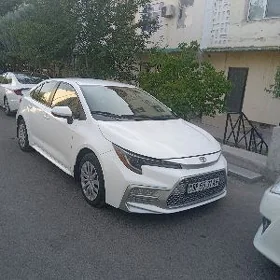 Toyota Corolla 2022