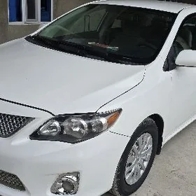 Toyota Corolla 2011