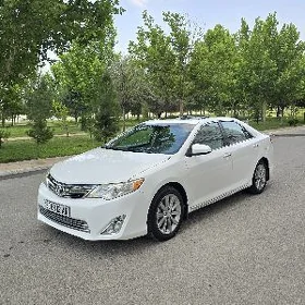 Toyota Camry 2013