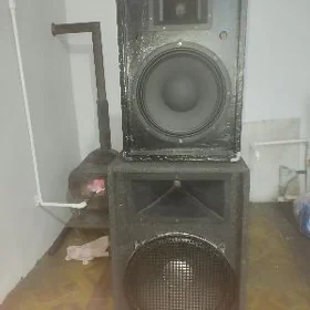 toy kalonkalar