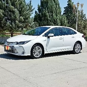 Toyota Corolla 2021