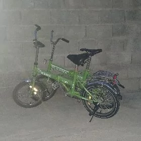 Tigir 16 lyk kama tazeje