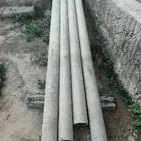 azbis turba