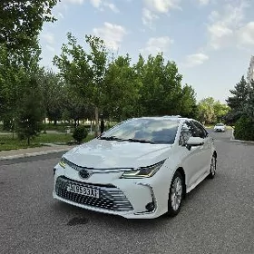 Toyota Corolla 2022