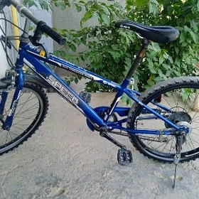 Sport welosiped 22