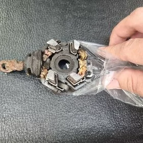 Corolla çotka