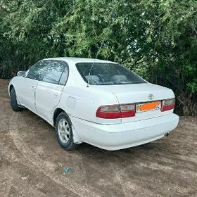 Toyota Corona 1995