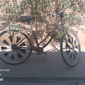 Welik 26Lyk