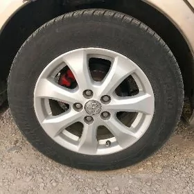 16 radnoy okuz diska
