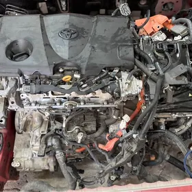 2,5 Hybrid 2025 Camry mator