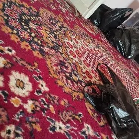 только семейным сдаём