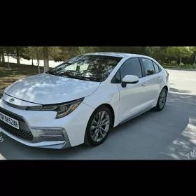 Toyota Corolla 2021