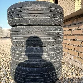 215 65 16 pakryşga