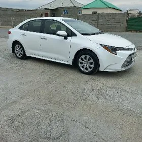Toyota Corolla 2024