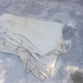 brizent palatga